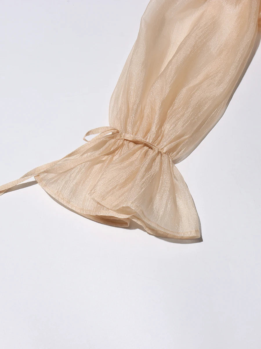 Airin Off Shoulder Mesh Ruffle Top Blouse