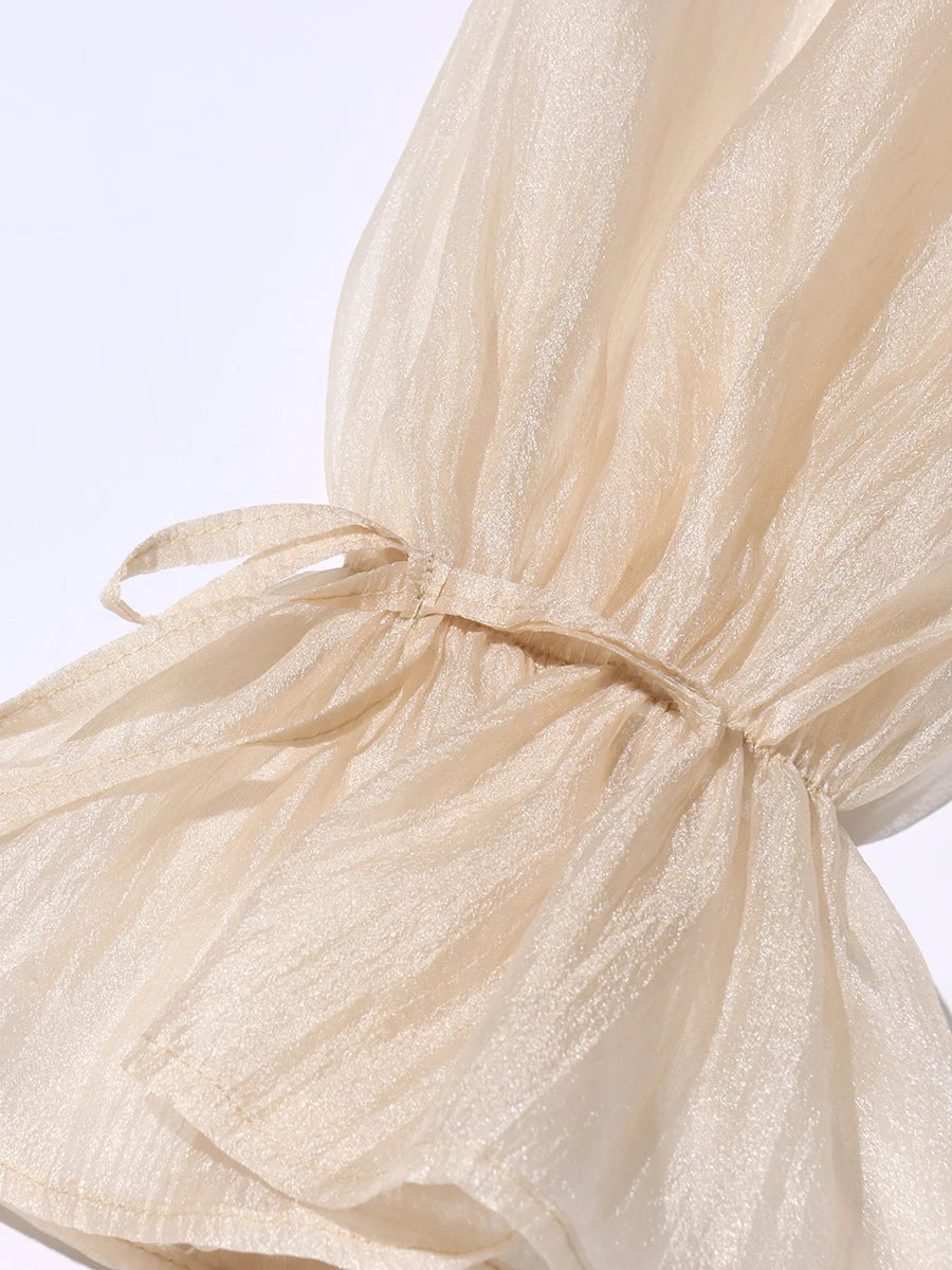 Airin Off Shoulder Mesh Ruffle Top Blouse